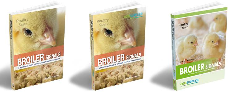 Distinguish yourself from other suppliers